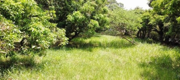 Terrain à Santa Ana, Costa Rica No. 1422 5