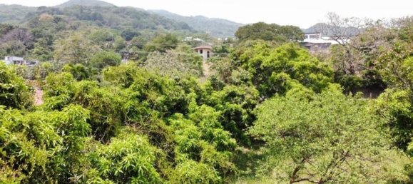 Terrain à Santa Ana, Costa Rica No. 1422 3