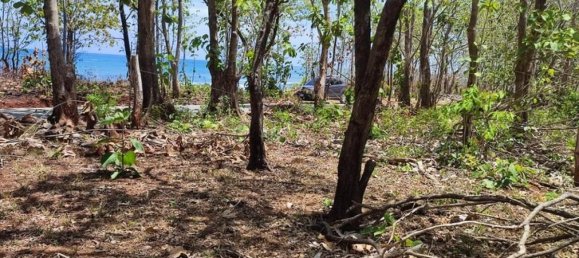 Земельный участок в Санта-Крус, Коста-Рика № 1466 2