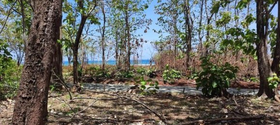 Земельный участок в Санта-Крус, Коста-Рика № 1466 4