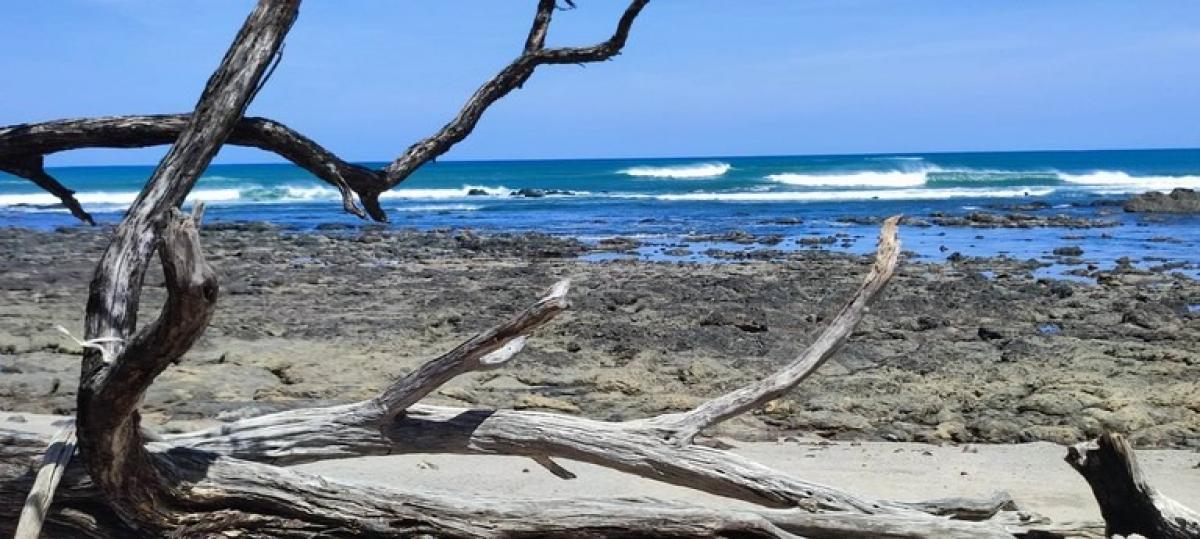 Земельный участок в Санта-Крус, Коста-Рика № 1466