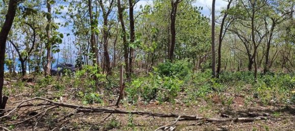 Земельный участок в Санта-Крус, Коста-Рика № 1466 6