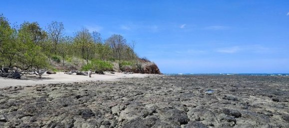 Земельный участок в Санта-Крус, Коста-Рика № 1466 3