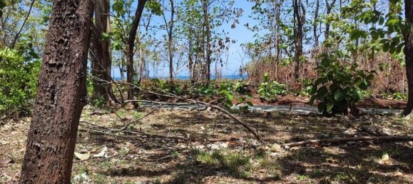 Земельный участок в Санта-Крус, Коста-Рика № 1466 5