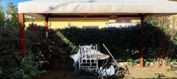 5 rooms Villa in Diamante, Italy No. 176071 19