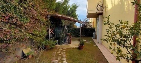 5 rooms Villa in Diamante, Italy No. 176071 3