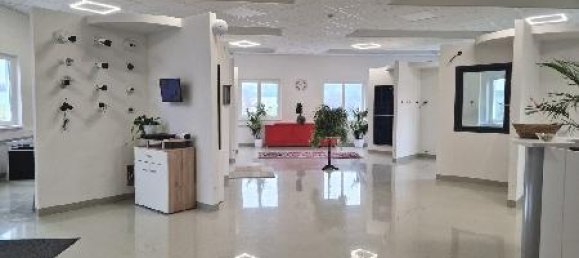 Propriété commerciale à Pischelsdorf am Kulm, Austria 1500m² No. 99301 5