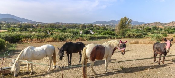 5 bedrooms Castles in Coin, Spain No. 142704 19