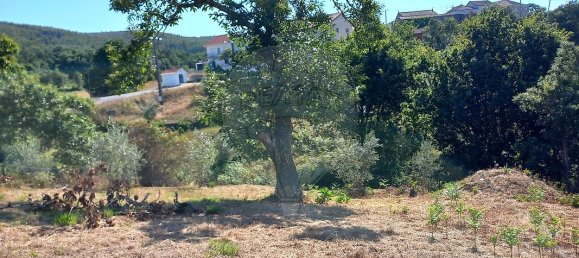2 bedrooms House in Figueiro dos Vinhos, Portugal No. 18862 8