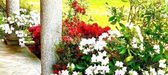 2 غرف نوم فيلا في Stresa, Italy رقم 256479 7