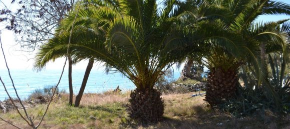 2 bedrooms Commercial property in Chalkidiki, Greece No. 6434 14