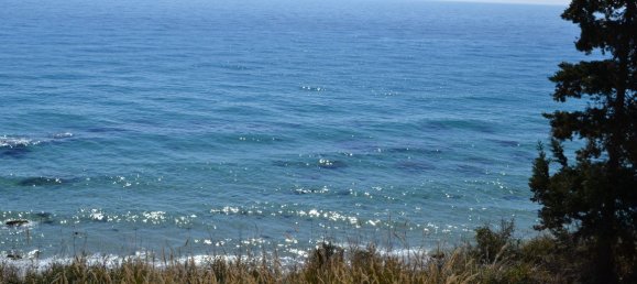 2 Schlafzimmer Gewerbliche Immobilien in Chalkidiki, Greece, Nr. 6434 15