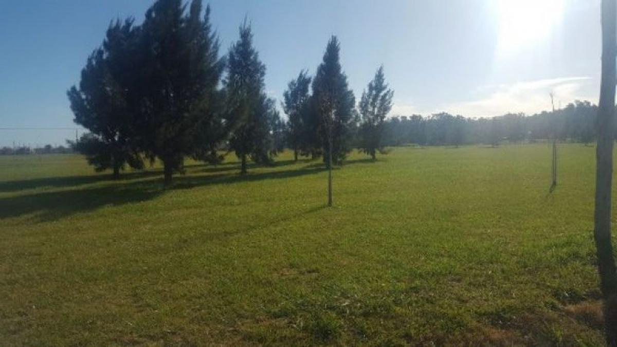  Land in San Vicente, Argentina No. 35665