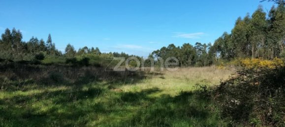12900m² Land in Guilhabreu, Portugal No. 62611 4