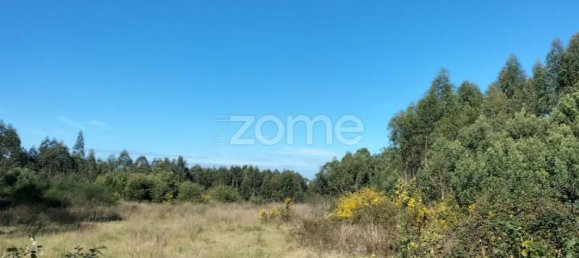 12900m² Land in Guilhabreu, Portugal No. 62611 3