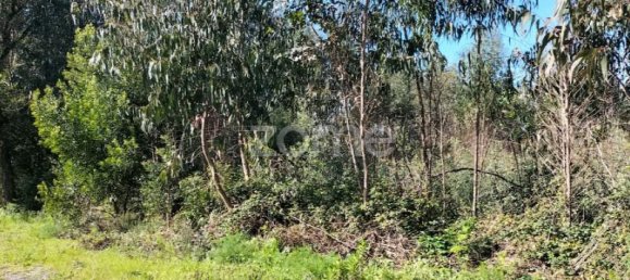 12900m² Land in Guilhabreu, Portugal No. 62611 2