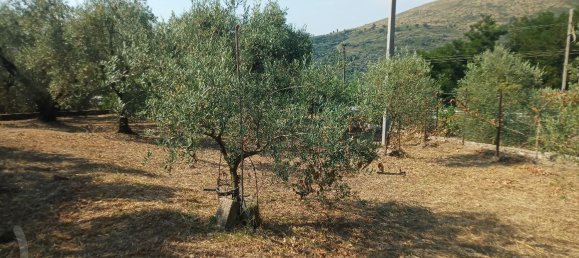 Дом с 4 комнатами в Формия, Италия № 293109 5