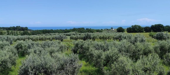 5 rooms Villa in Casalbordino, Italy No. 223141 15