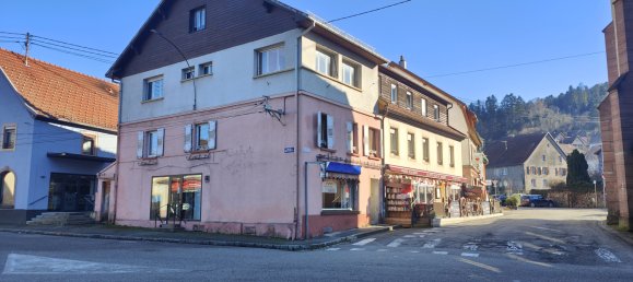 4 Schlafzimmer Gebäude in Rothau, France, Nr. 47823 7