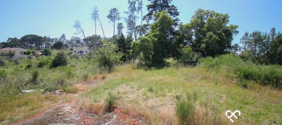  Land in Nelas, Portugal No. 67650 6