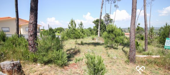  Land in Nelas, Portugal No. 67650 3