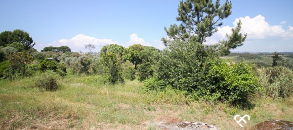  Land in Nelas, Portugal No. 67650 5