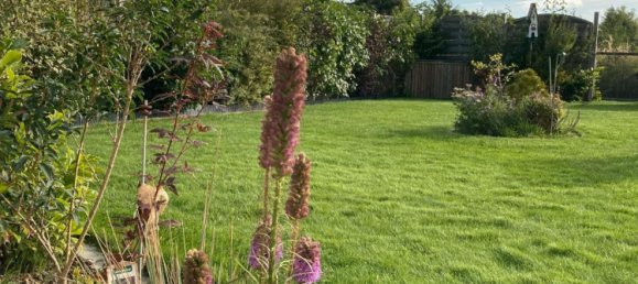 Moradia em banda de 7 divisões em Rostock, Germany N.º 124180 13