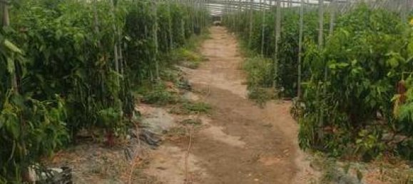  قطعة أرض في Gualchos, Spain 11000متر مربع رقم 162417 3