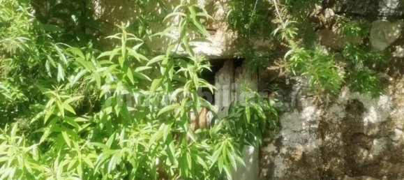 Casa T2 em Lessolo, Italy N.º 290004 12