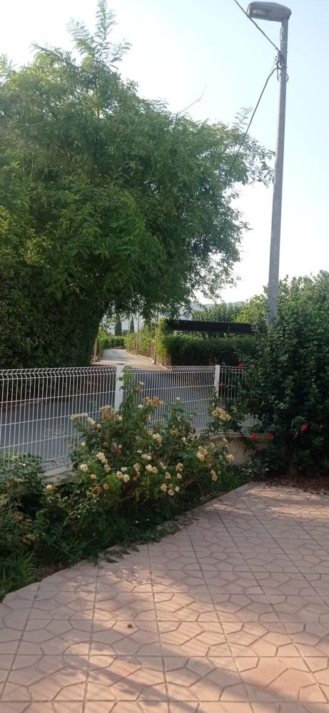 4 bedrooms Townhouse in Murcia, Spain No. 277417