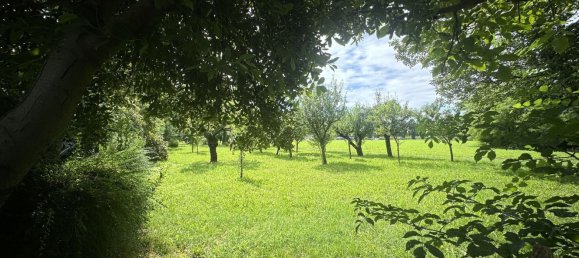 5 rooms House in Maserada sul Piave, Italy No. 291013 21