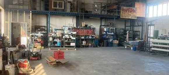  مستودع في Padua, Italy 1300متر مربع رقم 294181 6