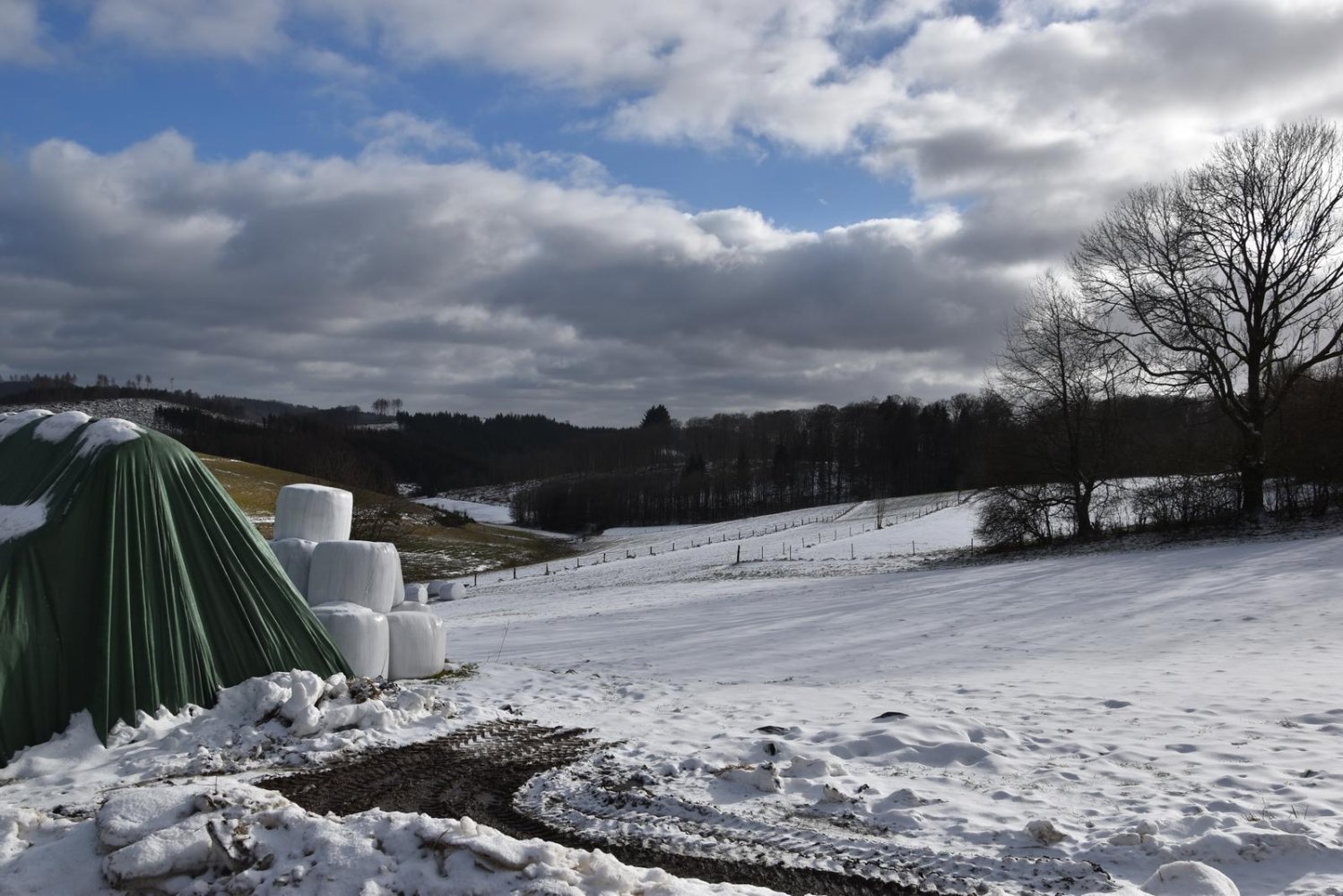 7-salle Ferme à Siegen-Wittgenstein, Germany No. 141413