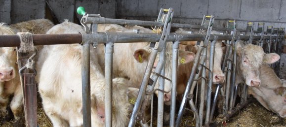 7-salle Ferme à Siegen-Wittgenstein, Germany No. 141413 6