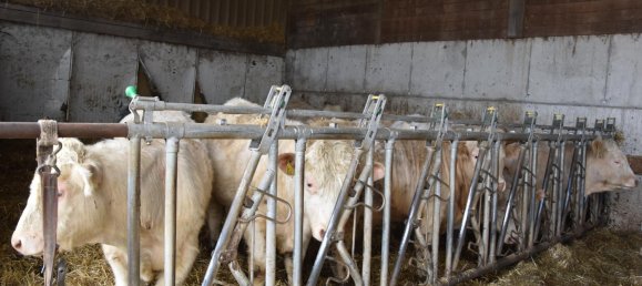 7-salle Ferme à Siegen-Wittgenstein, Germany No. 141413 5