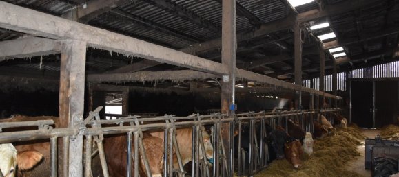 7-salle Ferme à Siegen-Wittgenstein, Germany No. 141413 3