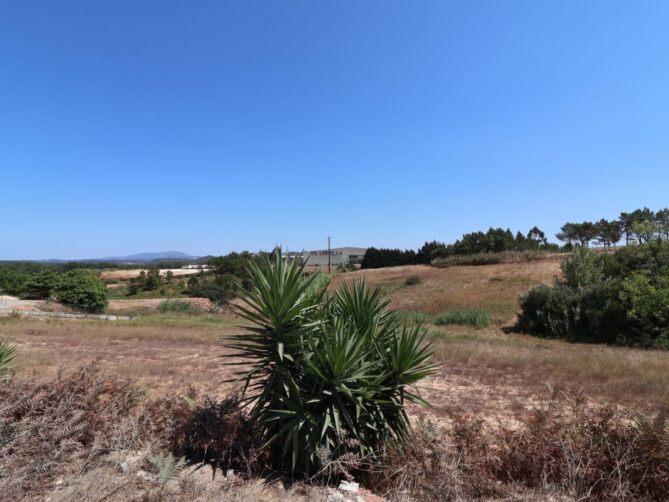 Terrain à Torres Vedras, Portugal No. 355308