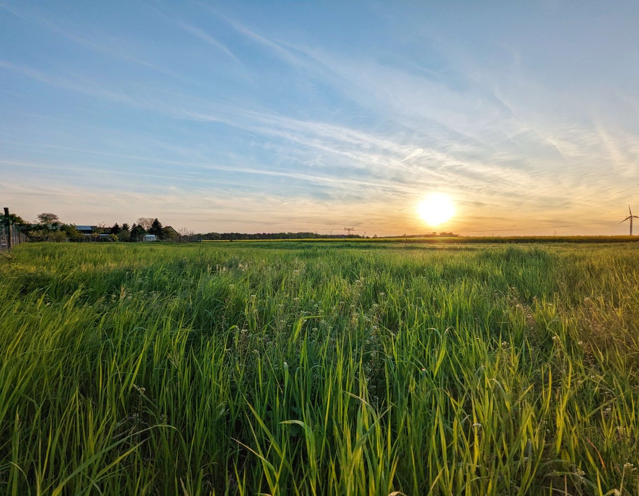 Terrain à Brandenburg, Germany No. 66269