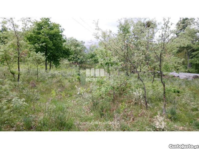  قطعة أرض في Baiao, Portugal 15000متر مربع رقم 56098