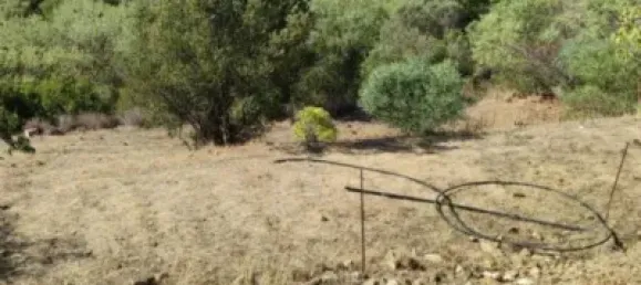 3 bedrooms Villa in Marbella, Spain No. 140365 21