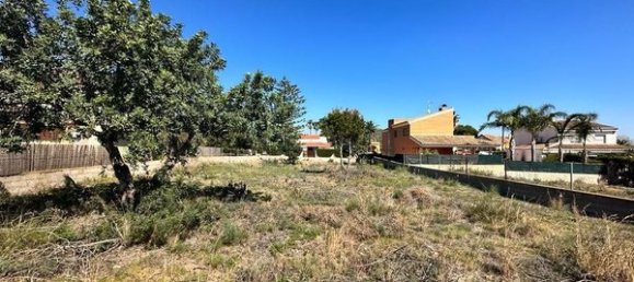  Land in Naquera, Spain No. 126939 3
