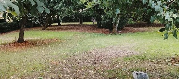 2 bedrooms House in Sarthe, France No. 287923 9