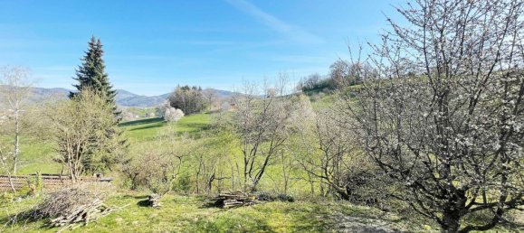 4 غرف نوم شقة في Lorrach, Germany رقم 29755 20