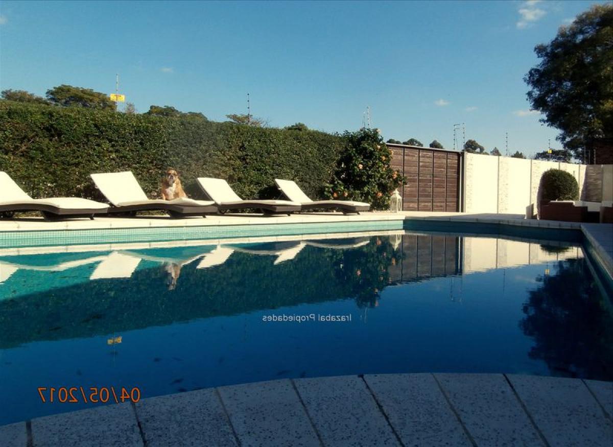 5 غرف نوم منزل في Montevideo, Uruguay رقم 97