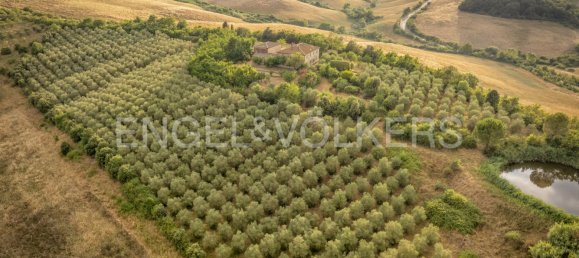 4 bedrooms House in Monteroni d'Arbia, Italy No. 264812 4