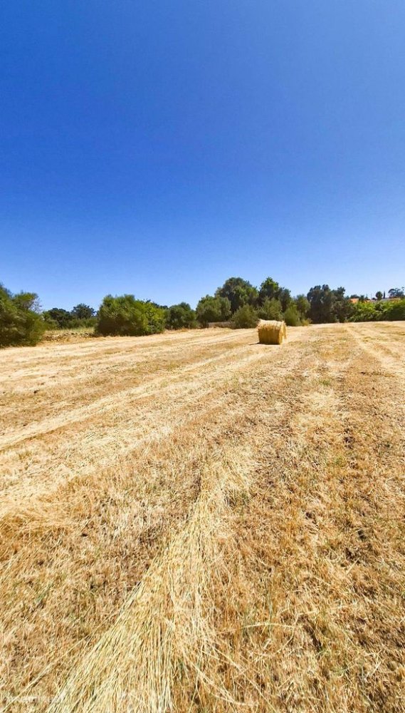 6440m² Land in Silves, Portugal No. 243717