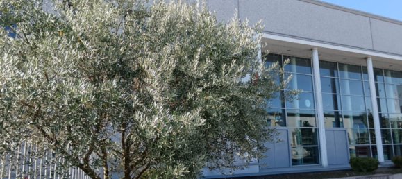 2600m² Warehouse in Lissone, Italy No. 359794 12