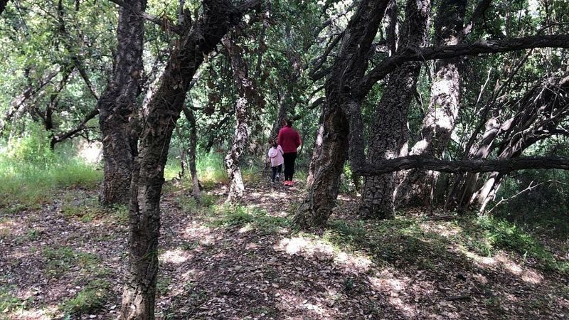 3200m² Land in Estepona, Spain No. 220414