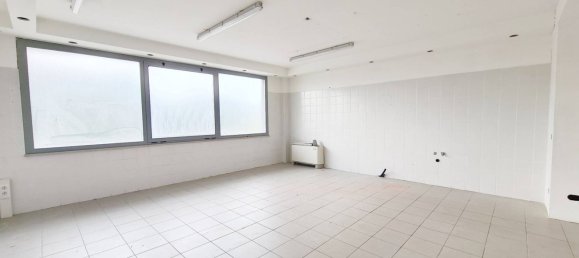 مستودع في Udine, Italy 1110متر مربع رقم 146735 8