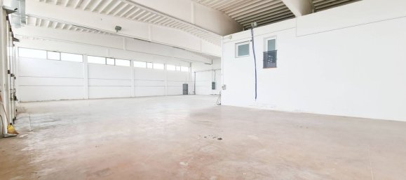 مستودع في Udine, Italy 1110متر مربع رقم 146735 7